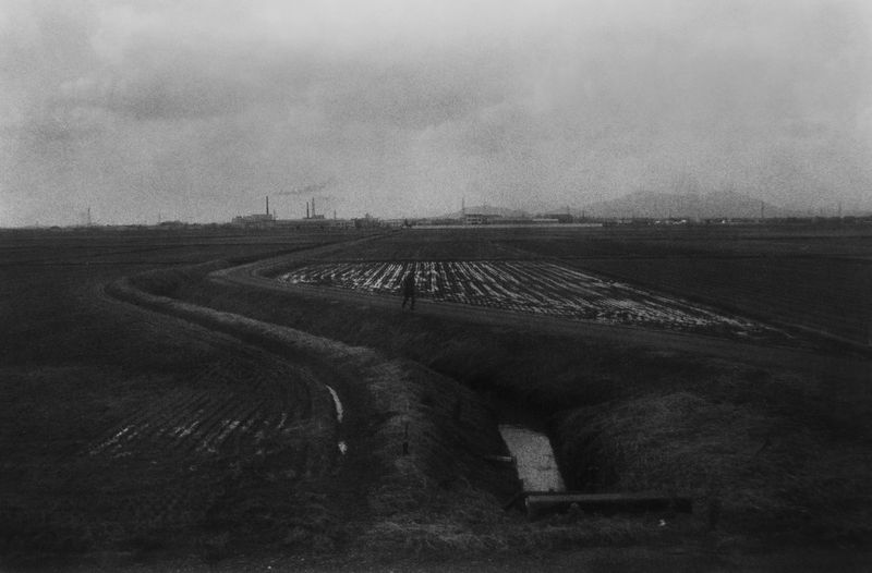 © Eriko Masaoka - Image from the In the Flap of a Bird’s wing, Water Dries Up photography project