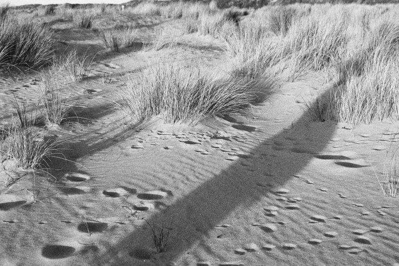 © Keks - Image from the Dune photography project