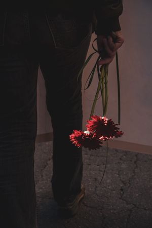 Cristina Romeo. Noi sfiliamo. Manifestare la Liberazione di Genova.