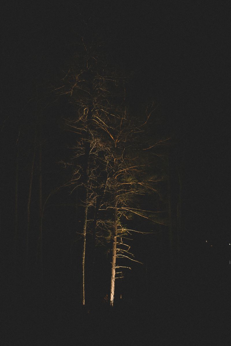 © Yuliya Pavlova - Image from the Shurale photography project