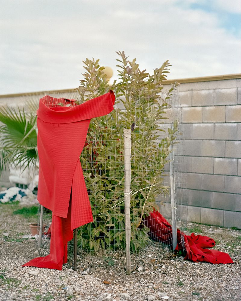 © Cinzia Toscano - Image from the Never truly a stranger photography project