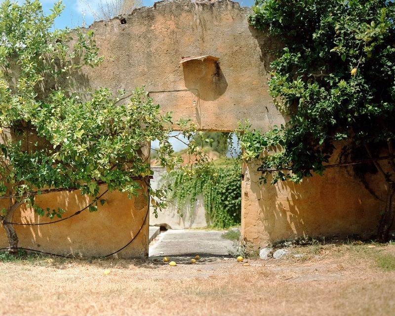 © Cinzia Toscano - Stables of the Bourbon kingdom time.