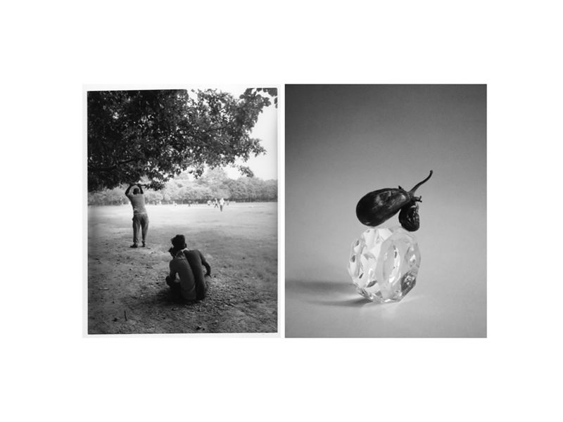 © Pretika Menon - Image from the Pakṣi (Bird) photography project