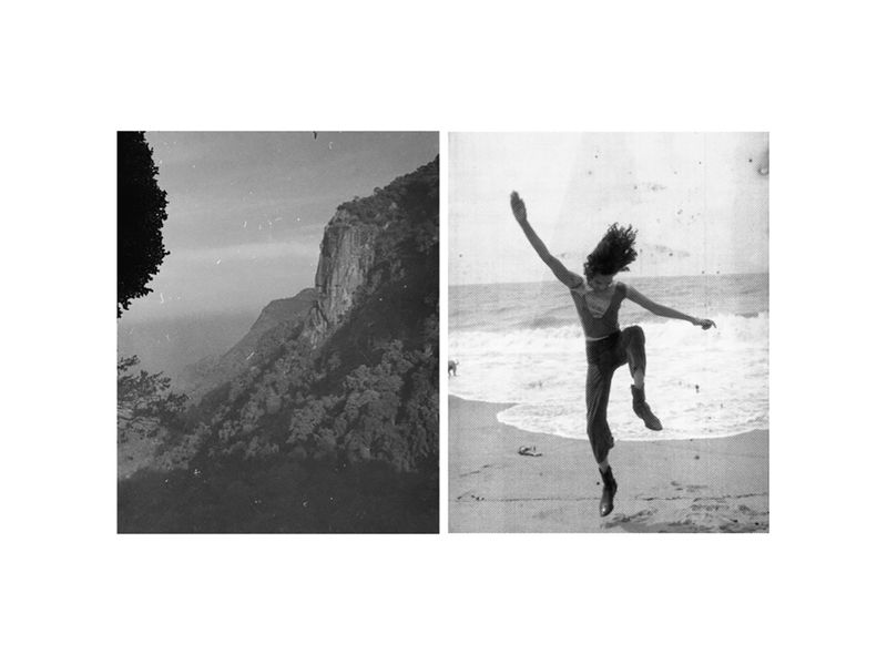 © Pretika Menon - Image from the Pakṣi (Bird) photography project