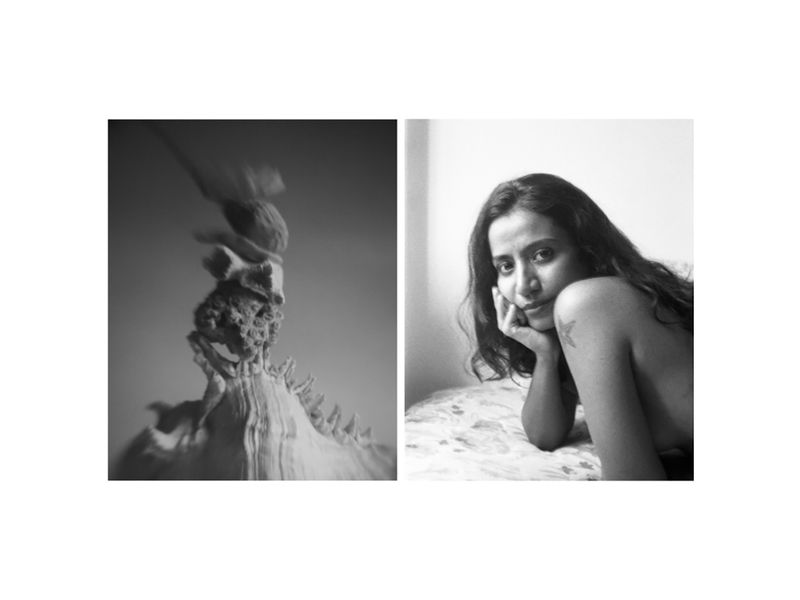 © Pretika Menon - Image from the Pakṣi (Bird) photography project