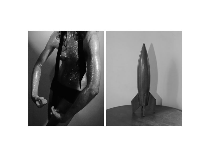 © Pretika Menon - Image from the Pakṣi (Bird) photography project