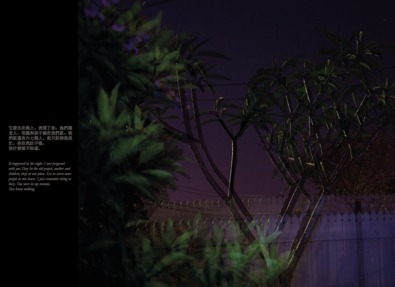 © Tammy Law - Image from the Cancelled & Removed photography project