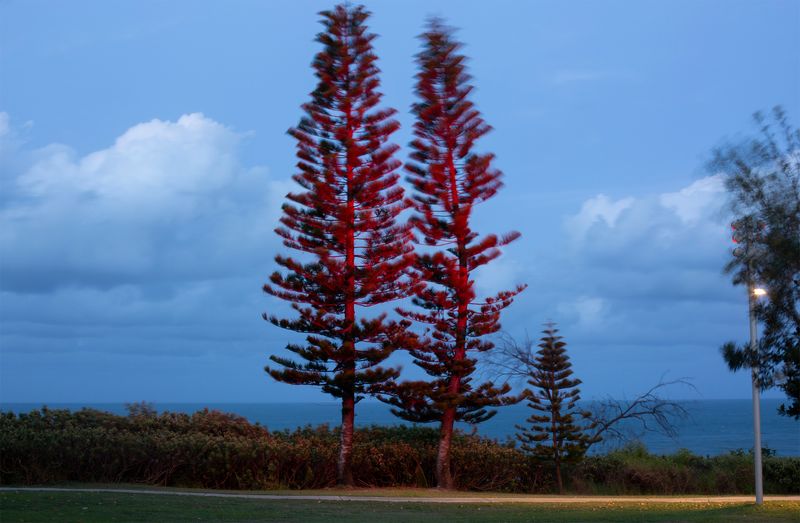 © Tammy Law - Image from the Cancelled & Removed photography project