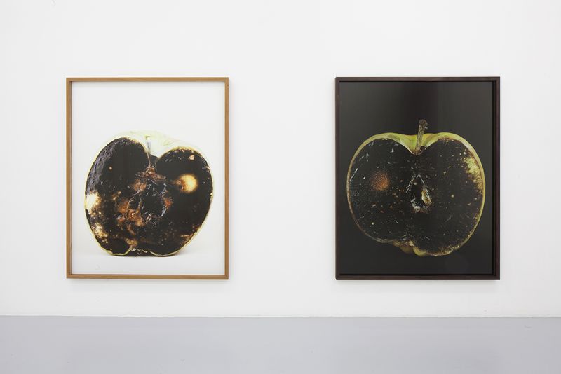 © Johan Österholm - Image from the Cosmic Darkroom photography project