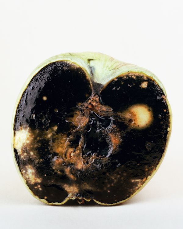 © Johan Österholm - Image from the Cosmic Darkroom photography project