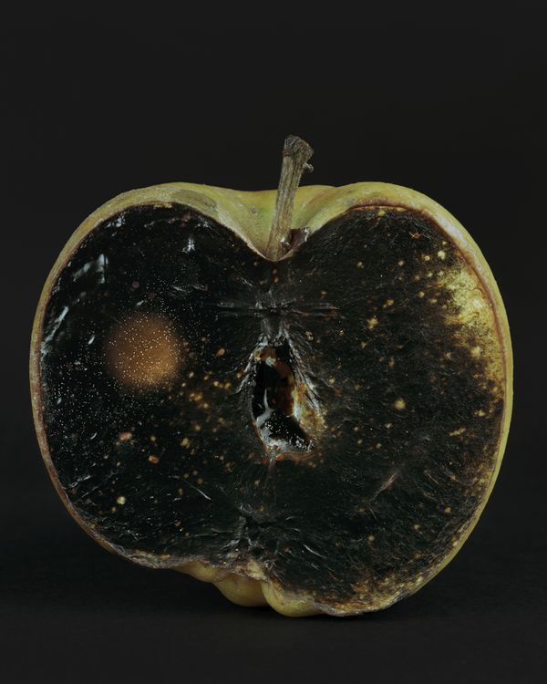 © Johan Österholm - Image from the Cosmic Darkroom photography project