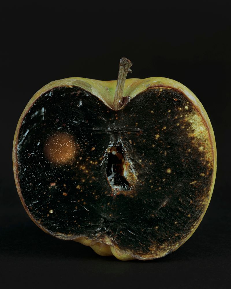 © Johan Österholm - Image from the Cosmic Darkroom photography project