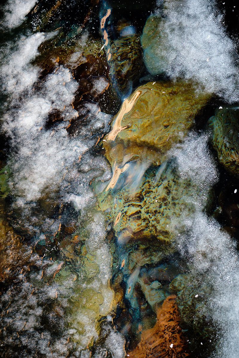 © joi@gugguson.com Gudbjargarson - Bart