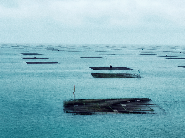 © Yu Hsuan Chang - Image from the ILandscape 路邊打卡風景 photography project