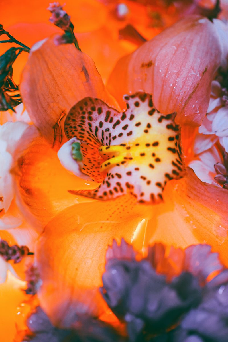 © Yu Hsuan Chang - Image from the BloomClose photography project