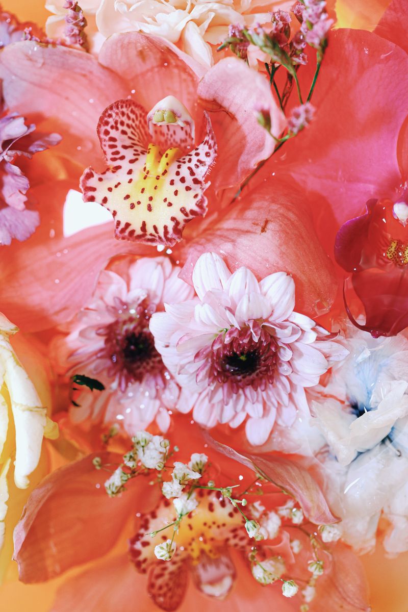 © Yu Hsuan Chang - Image from the BloomClose photography project