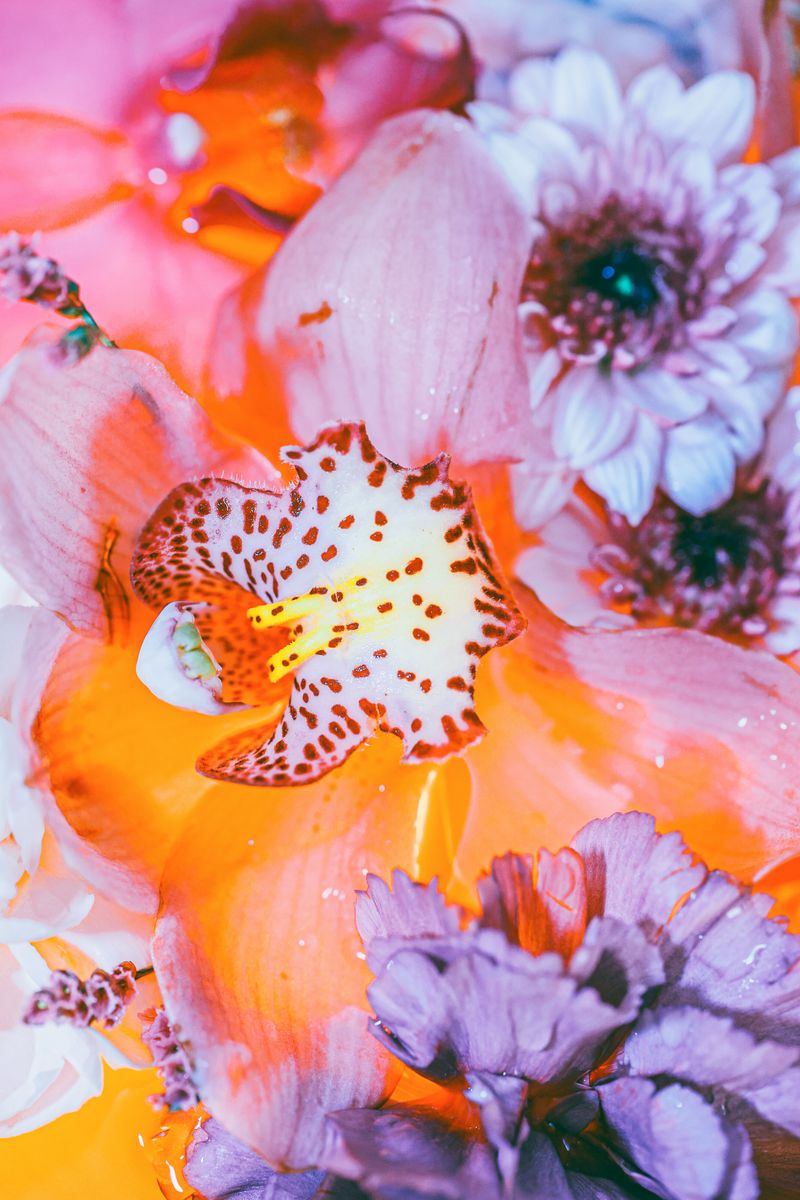 © Yu Hsuan Chang - Image from the BloomClose photography project