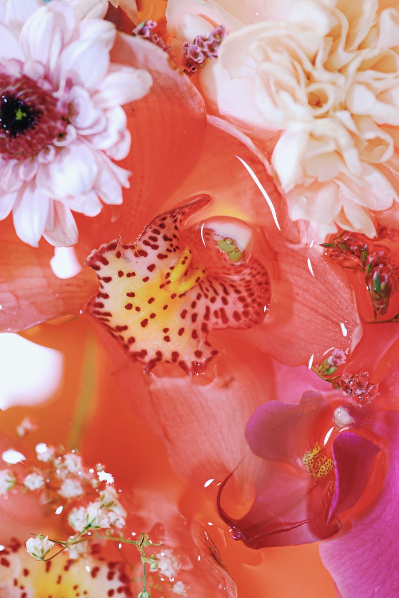 © Yu Hsuan Chang - Image from the BloomClose photography project