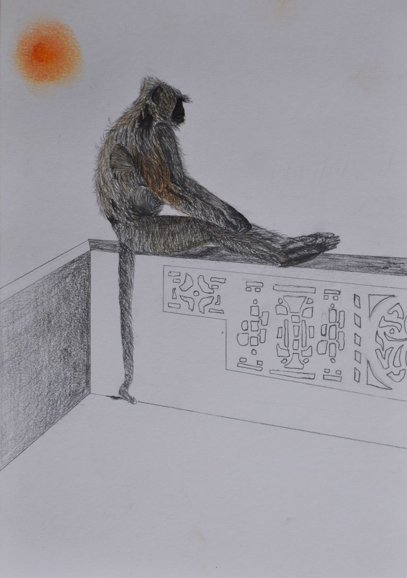 © Meet Varvada - one day I woke up on terrace and