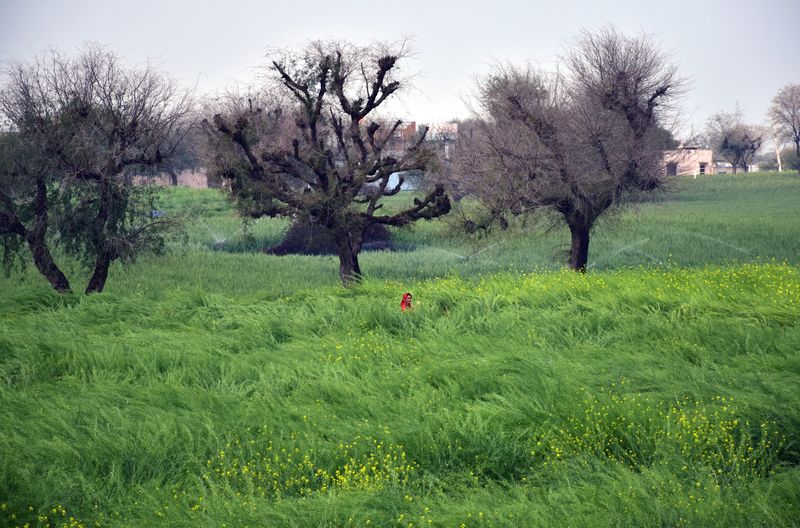 © Meet Varvada - Image from the Denial is a River photography project