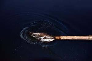 The Yamuna