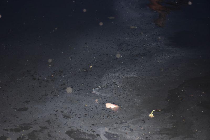 © Meet Varvada - Image from the The Yamuna photography project