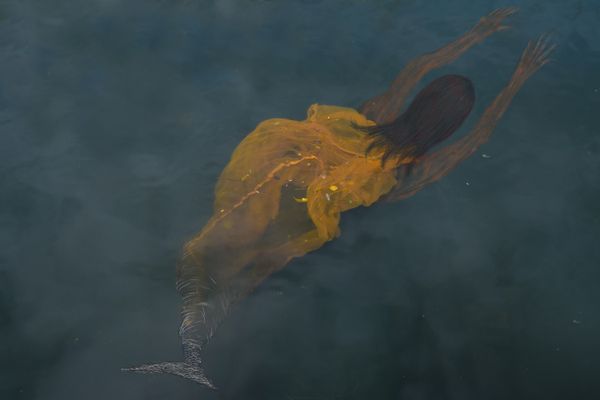 © Meet Varvada - Image from the WHITELAND photography project
