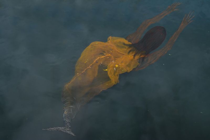 © Meet Varvada - Image from the WHITELAND photography project