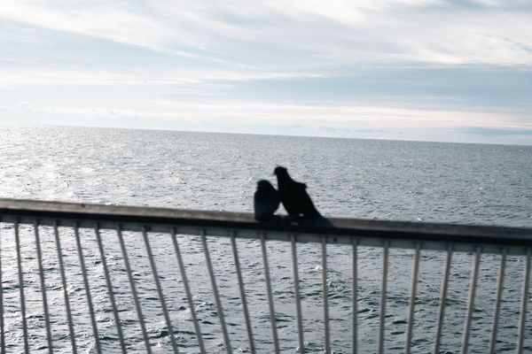 © Hoi Yan Tang - Image from the If We Both Have Insomnia, Would We Have a Double Dream? photography project