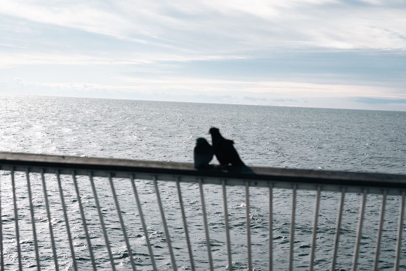 © Hoi Yan Tang - Image from the If We Both Have Insomnia, Would We Have a Double Dream? photography project