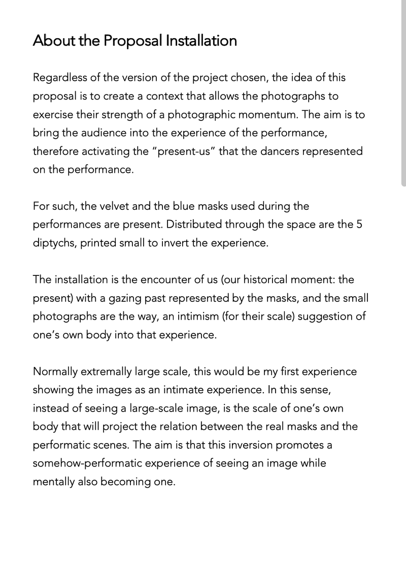© SOFIA BORGES - about the installation proposal