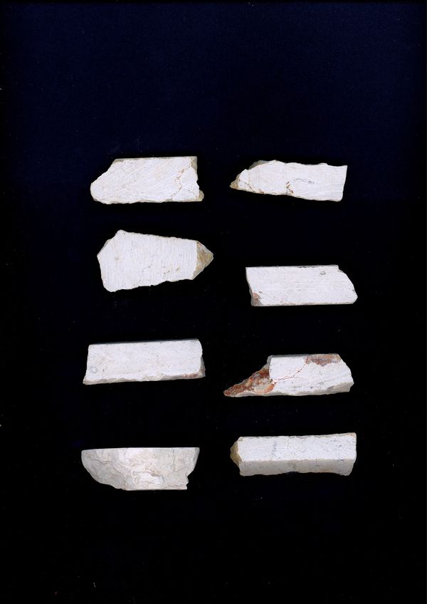 © Sofia Lambrou - Image from the L'anabase (2025) photography project