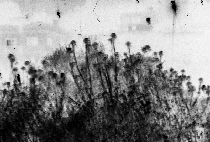 © Sofia Lambrou - Submerged icons