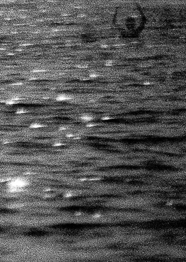 © Sofia Lambrou - Amorgos Sea