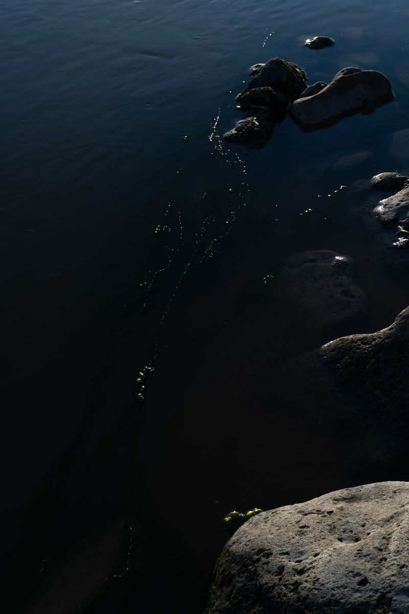 © Elsa Pizzutto - Image from the Blue photography project