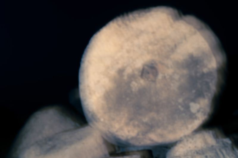 © Elsa Pizzutto - Image from the Blue photography project