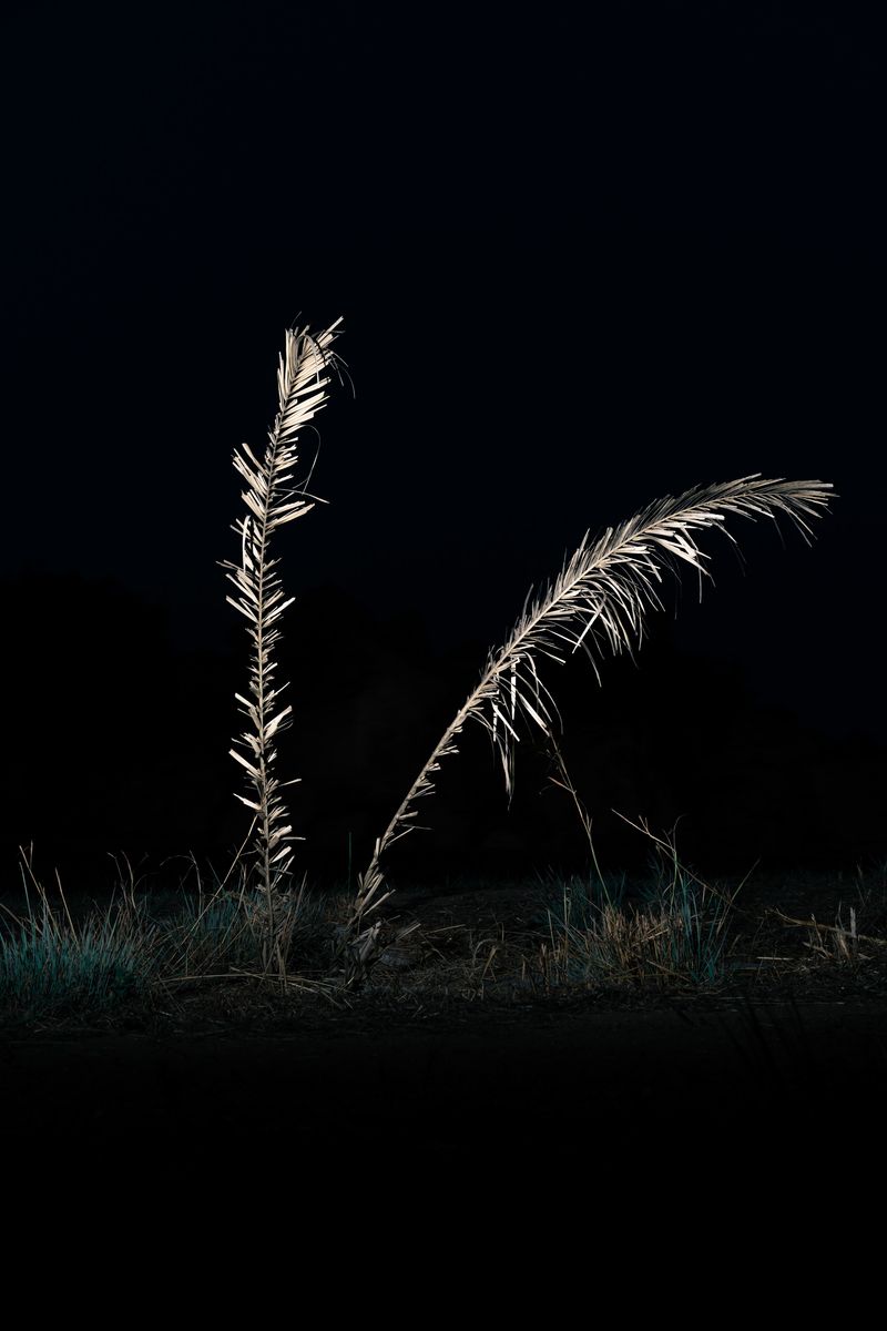 © Elsa Pizzutto - Image from the Blue photography project