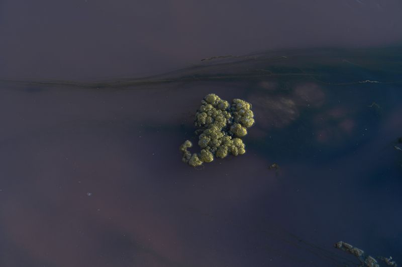 © Elsa Pizzutto - Image from the Blue photography project