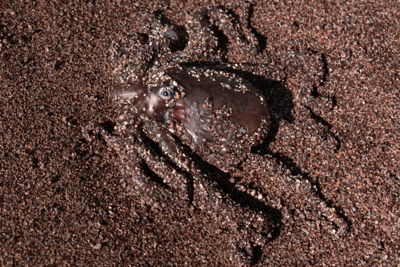 © Elsa Pizzutto - Image from the Blue photography project