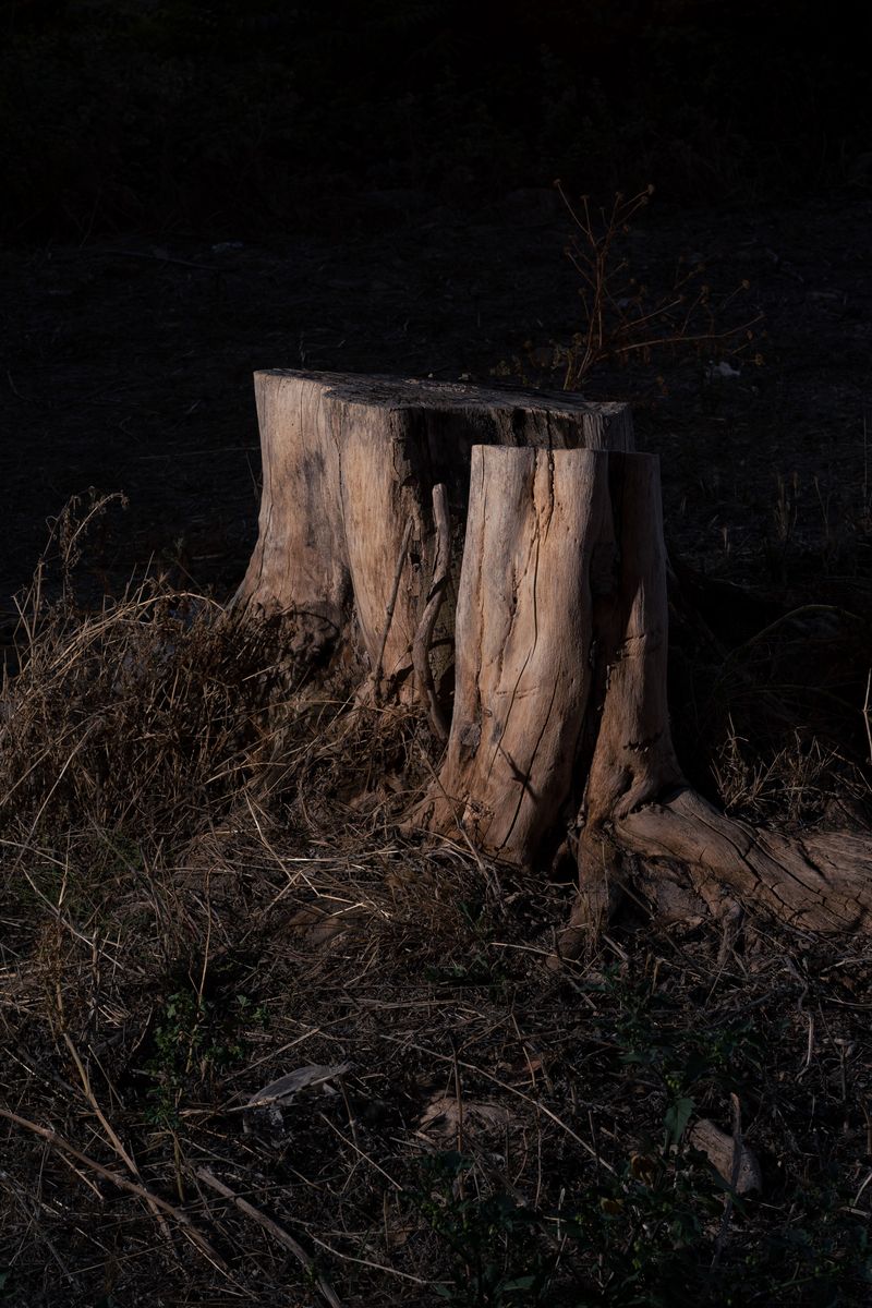 © Elsa Pizzutto - Image from the Blue photography project