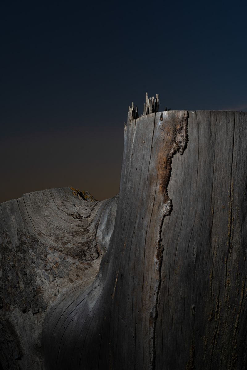 © Elsa Pizzutto - Image from the Blue photography project