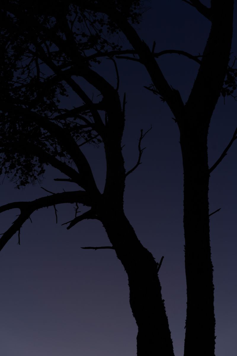 © Elsa Pizzutto - Image from the Blue photography project