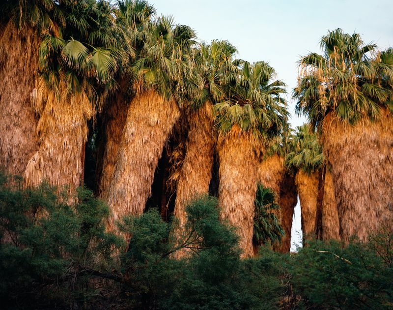 © Tracy L Chandler - Image from the A Poor Sort of Memory photography project