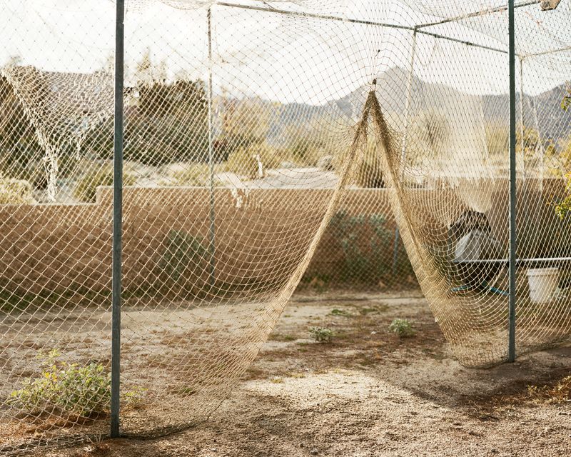 © Tracy L Chandler - Image from the A Poor Sort of Memory photography project