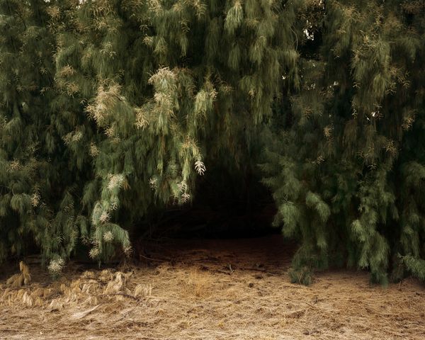 © Tracy L Chandler - Image from the A Poor Sort of Memory photography project