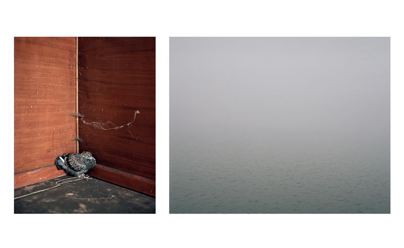 © Grigoris Digas - Image from the Ithacas photography project