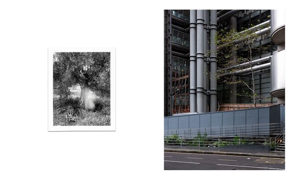 © Grigoris Digas - Image from the Ithacas photography project