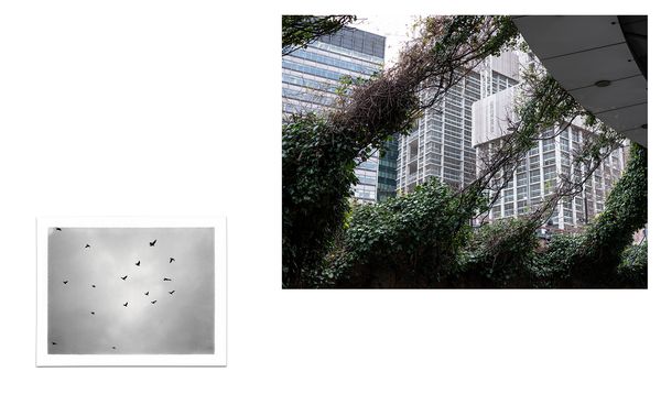 © Grigoris Digas - Image from the Ithacas photography project