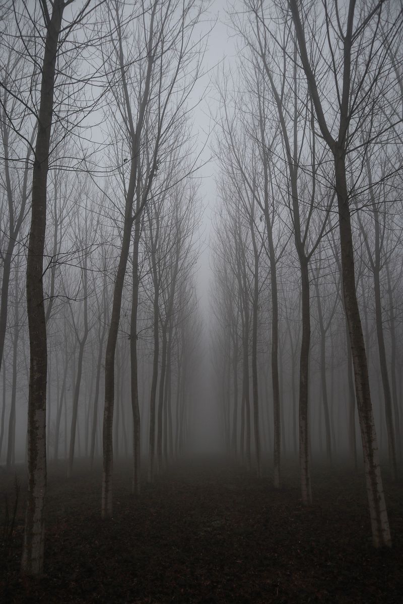 © Andrea Agostini - Image from the Nòstos (Homecoming) photography project