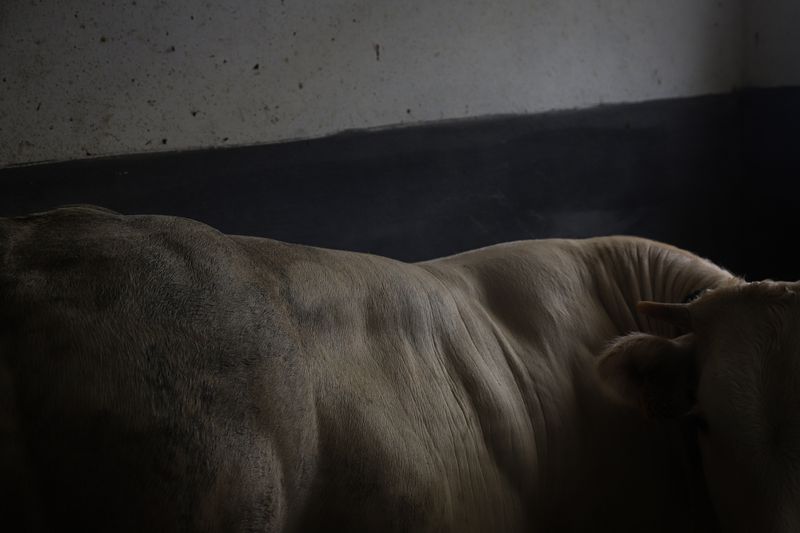© Andrea Agostini - Image from the Nòstos (Homecoming) photography project